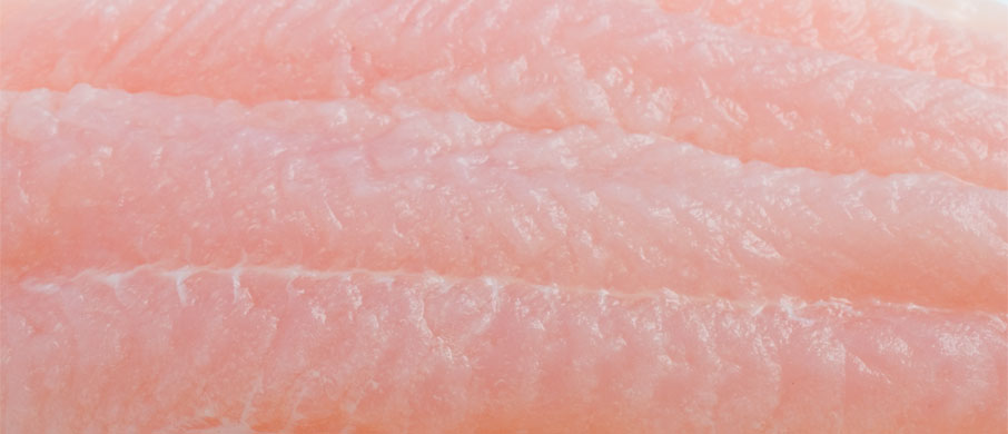 Filete de Panga