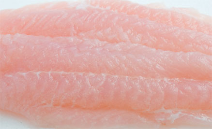 Filete de Panga